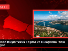 G��men Ku�lar Vir�s Ta��ma ve Bula�t�rma Riski Ta��yor