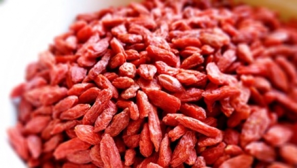 Goji Berry Nedir? Goji Berry Faydalar Nelerdir?