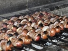 Gribe Kar�� Bir Ba�ka ��z�m