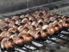 Gribe Kar�� So�an Kebab�