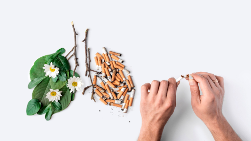 Gnde 25 adetten fazla sigara ienlerde akcier kanseri riski 50 kat artyor