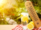 G�ne� �arpmas�n�n kalkan�: Bol su i�mek