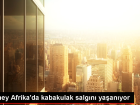 Gney Afrika'da Kabakulak Salgn Yaanyor