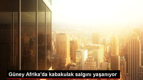 Gney Afrika'da kabakulak salgn yaanyor