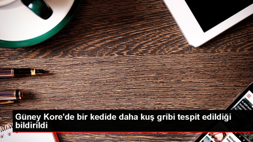 Gney Kore'de Kedilerde Ku Gribi Vakas 3'e Ykseldi