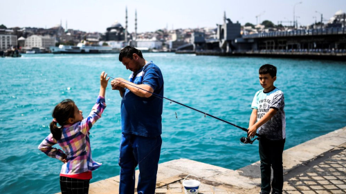 Haftada Bir Balk Yiyen ocuklar Daha Zeki Oluyor