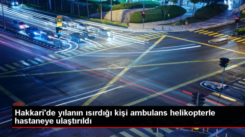Hakkari'de Y�lan Is�rmas� Sonucu Yaralanan Ki�i Ambulans Helikopterle Hastaneye Ula�t�r�ld�