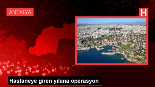 Hastaneye giren ylana operasyon