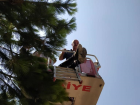 Hatay'da Tinerden Zehirlenen ���i Hastanelik Oldu