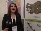 Hava kirlili�i anne karn�ndaki bebe�i de olumsuz etkiliyor