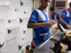 HAYTAP, yaral� k�pe�i tedavi etti