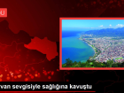 Hayvan sevgisiyle salna kavutu