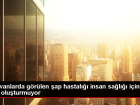 Hayvanlarda g�r�len �ap hastal��� insan sa�l��� i�in risk olu�turmuyor