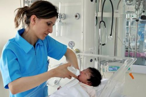Hemireler ve Ebeler Gn