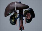 Hepatit Taramas�ndan Ge�meyi �hmal Etmeyin!