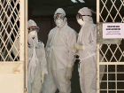 Hindistan'da Nipah Virüsü: 2 Kişi Hayatını Kaybetti, 706 Kişiye Test Yapıldı