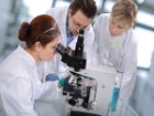 HPV A��s�