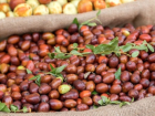 H�nnap Nedir? H�nnap Meyvesinin Faydalar� Nelerdir?