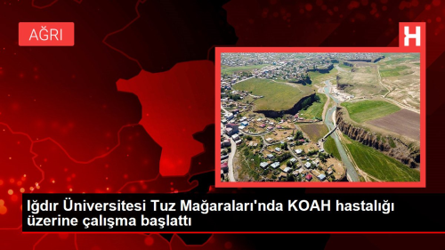 Idr niversitesi Tuz Maaralar'nda KOAH hastal zerine alma balatt