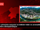 I�d�r y�resinin meyvesi ve bitkileri t�bbi ve aromatik �r�nlere d�n��t�r�l�yor