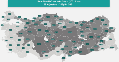 l il koronavirs vaka saylar katr? 28 Austos - 3 Eyll l il gncel koronavirs risk haritas ve haftalk vaka saylar akland m?