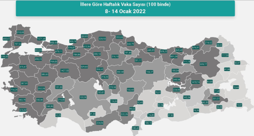 l il koronavirs vaka saylar katr? 8-14 Ocak l il gncel koronavirs risk haritas ve haftalk vaka saylar akland m?