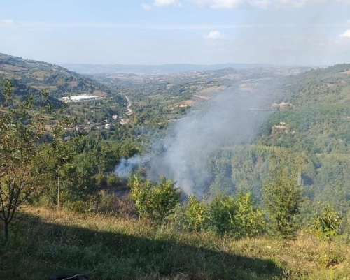 negl'de Bahe Temizlii Srasnda Yangn: 1 Kii Hayatn Kaybetti