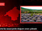 Isparta'da sezaryenle do�um oran� y�ksek