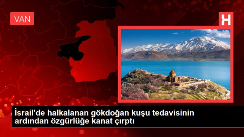 srail'de halkalanan gkdoan kuu tedavisinin ardndan zgrle kanat rpt