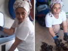 ��tahla yedi�imiz midyeler ne kadar temiz? Yay�nlanan bir video sizi hayal k�r�kl���na u�ratacak
