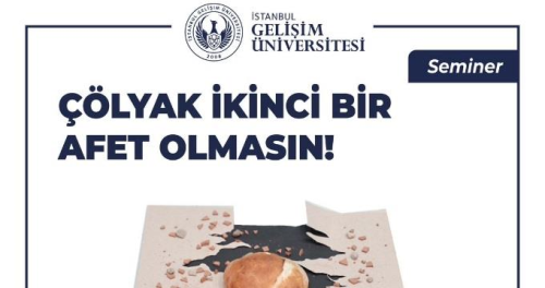 stanbul Geliim niversitesi rencileri  