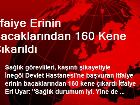 �tfaiye Erinin Bacaklar�ndan 160 Kene ��kar�ld�