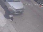 �zmir'de Fare Taraf�ndan Is�r�lan Ya�l� Kad�n Hastanelik Oldu