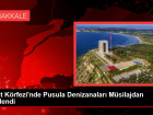 �zmit K�rfezi'nde Pusula Denizanalar� M�silajdan Etkilendi