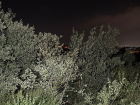 �zmit'te cip a�aca �arpt�, s�r�c� yaraland�