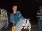 Kad�n Mahalle Muhtar�, Gelenek �lmesin Ramazan Davulculu�u Yap�yor