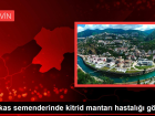 Kafkas semenderinde kitrid mantar� hastal��� g�r�lmedi