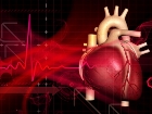 Kalbiniz Nas�l �al���yor Biliyor musunuz?