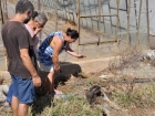 Kald�r�lmayan Hayvan Le�leri Mahallelinin Tepkisini �ekti