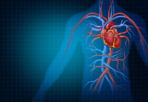 Kalp damar hastalklar kadnlarda daha sessiz ilerliyor