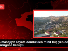 Kalp masaj�yla hayata d�nd�r�len minik ku� yeniden �zg�rl���ne kavu�tu