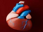 Kalp Krizinde Her Geçen Dakika Kalp Kasına Zarar Veriyor    
