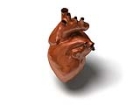 Kalp Krizini Önlemek İçin İlaç Üretilecek mi?