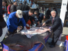 Kanser Hastalar�na Ekmek Aras� K�pekbal���