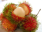 Kanserli H�crelerle Sava�an Mucize Besin!