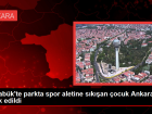 Karab�k'te parkta s�k��an �ocu�un parma�� koparak Ankara'ya sevk edildi