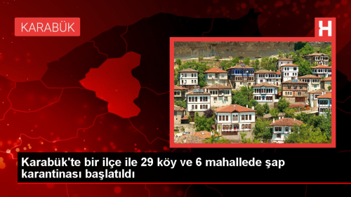 Karabk'te ap Hastal Nedeniyle 29 Ky ve 6 Mahallede Hayvan Giri k Kstland