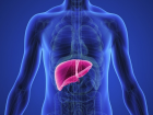 Karaci�er ya�lanmas� neden olur? Karaci�er ya�lanmas� belirtileri neler? Karaci�er ya�lanmas� nas�l ge�er?