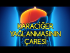 Karaci�er Ya�lanmas�n�n �aresi Burada