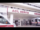 Karadeniz'de mantardan zehirlenme vakalar� artt�